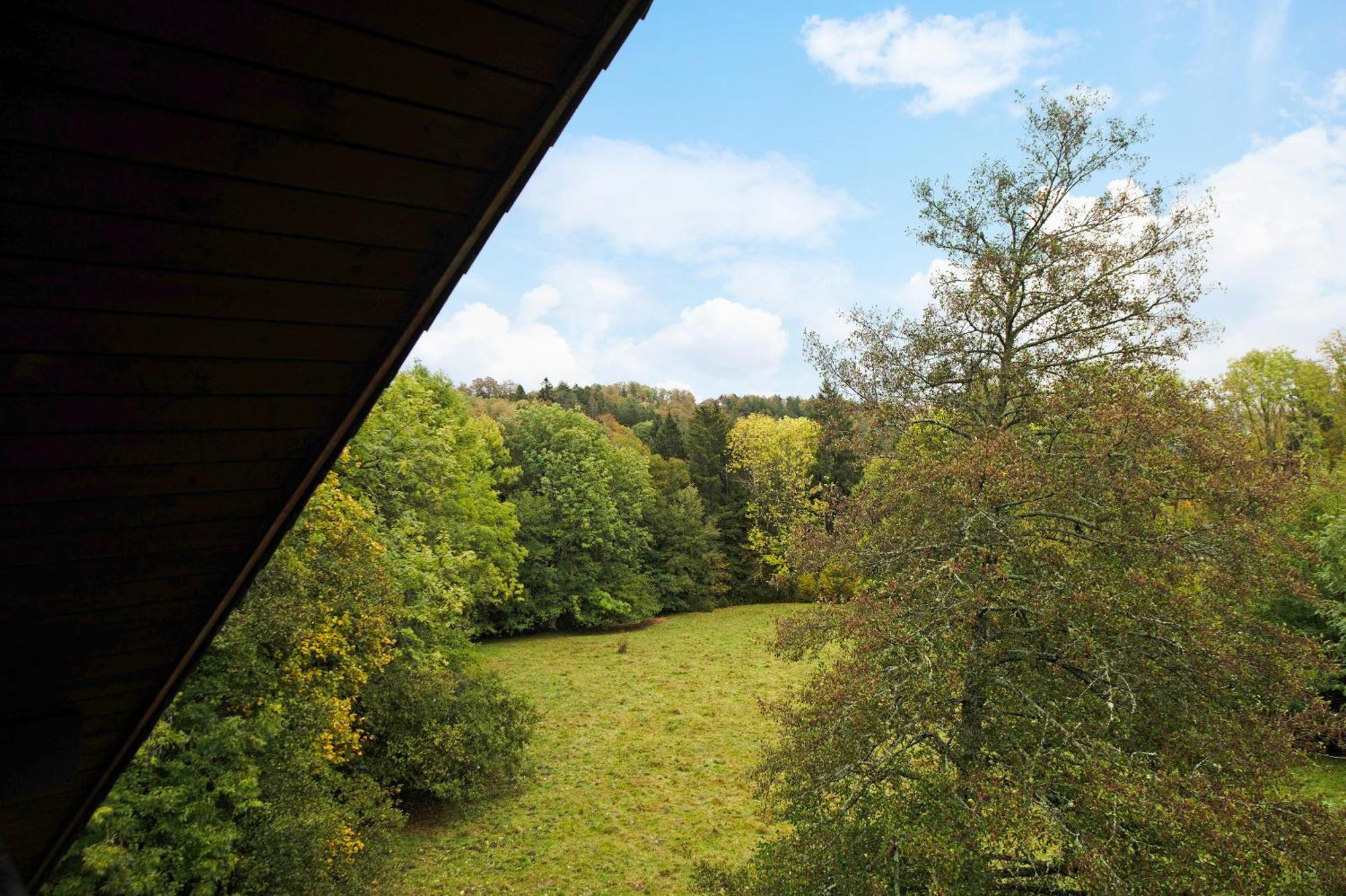 Landhaus Am Schmiedebach Wittenschwand Экстерьер фото