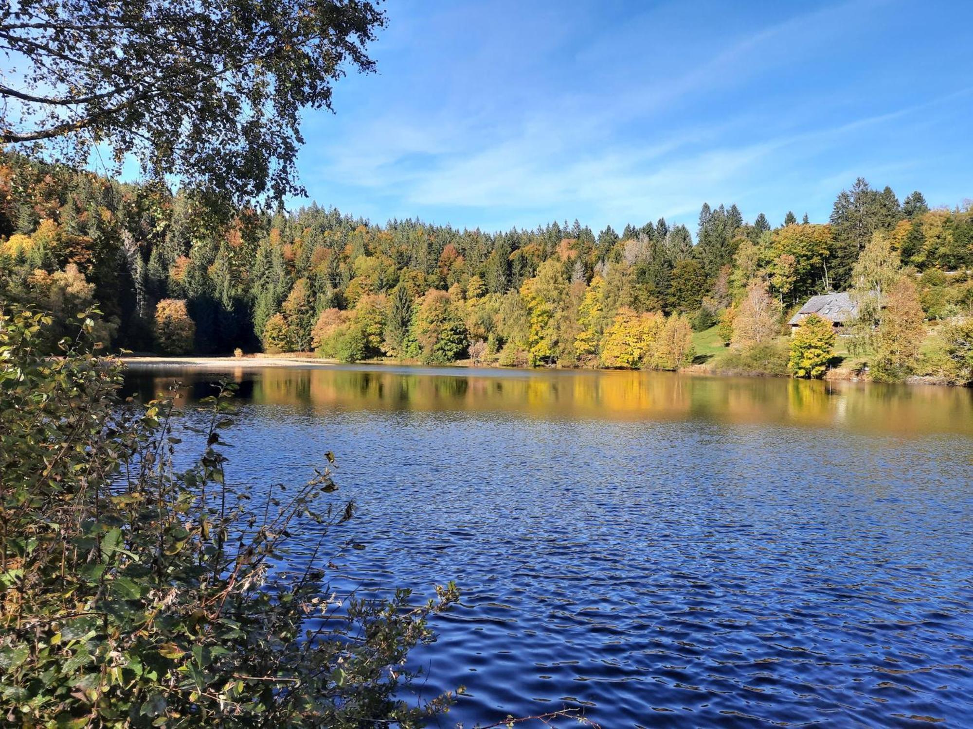 Landhaus Am Schmiedebach Wittenschwand Экстерьер фото